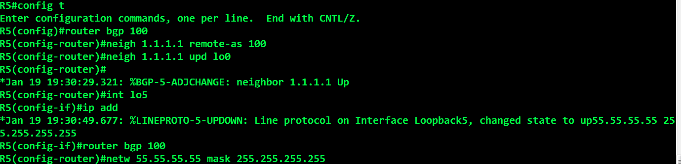 Intermediate System to Intermediate System: The Other Link State Protocol