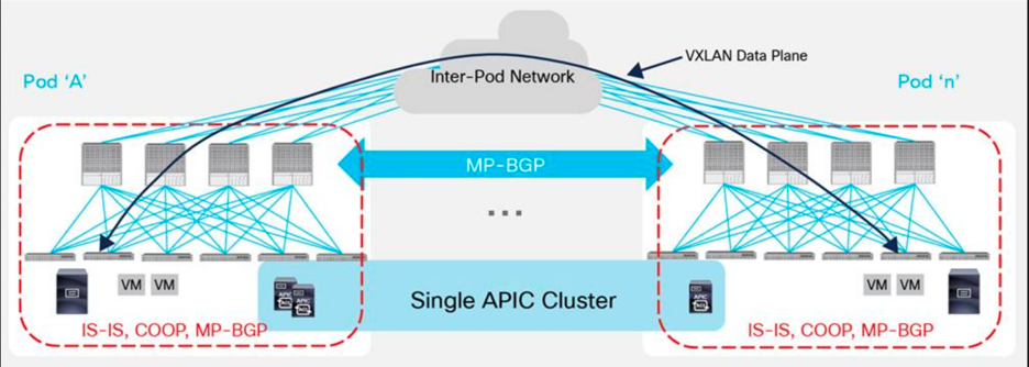 Amoebas to Zebras: The Evolution of ACI Multi-Site Features... Just for ...