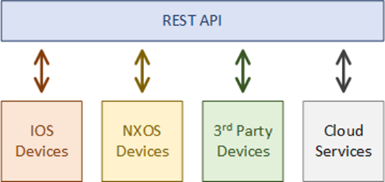Creating A Custom Network Management API