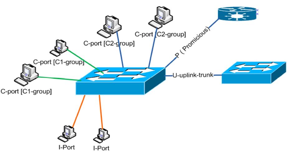 A quick summarized view to Private VLAN (PVLAN)