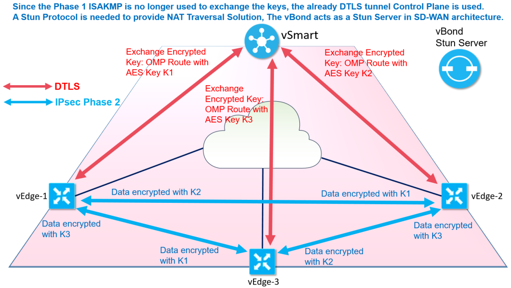 Traditional IPsec Versus Cisco SDWAN IPsec