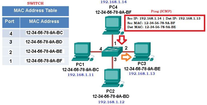 Which Port Does Switch0 Use To Send Frames To The Host With The Ipv4