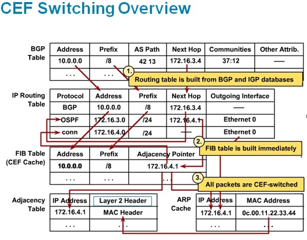 Path prefixes. CEF таблица. Таблица BGP. Cisco Express Forwarding (CEF). CEF FIB Rib.